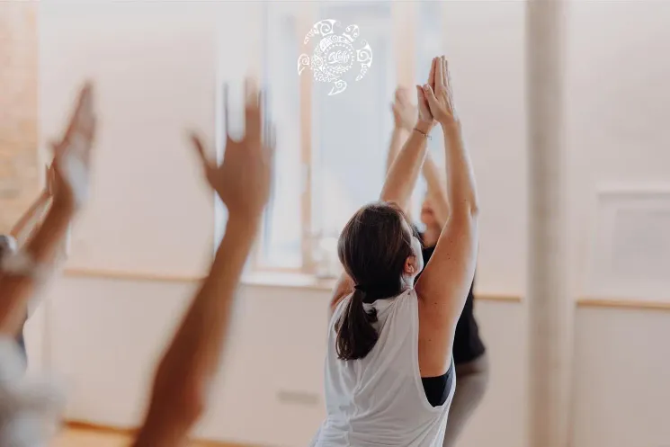 Ashtanga Yoga basic - Montag Kurs im Sommer @ ALOHA Yoga & Wellness