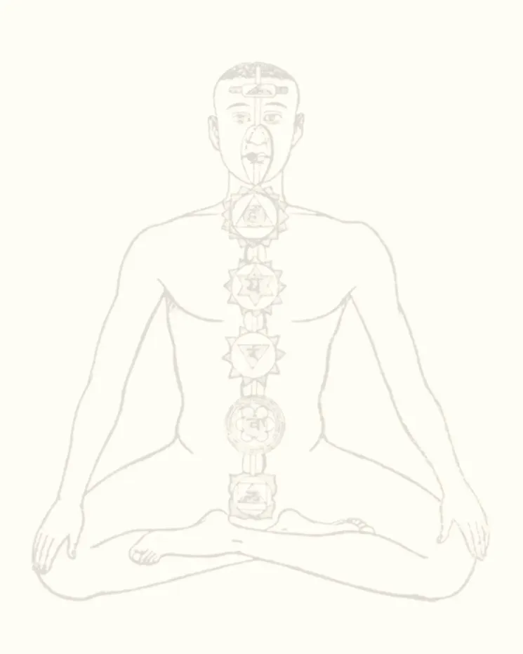 EMBODIED FOUNDATIONS ( Yoga Series ) w/ Tina @ STUDIO MOND