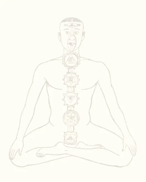 EMBODIED FOUNDATIONS ( Yoga Series ) w/ Tina @ STUDIO MOND