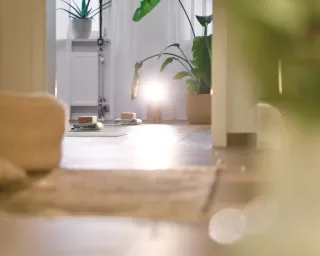 Dieser Anbieter hat keine Bildbeschreibung für dieses Bild hinterlegt