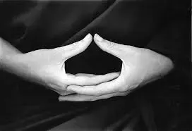 MEDITATION online @ YOGA + MIND
