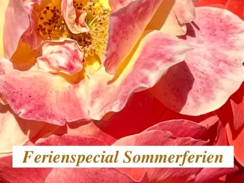 Ballett mit Spitze - Sommerspecial  @ Dance and Soul Studio -  die Ballett- und Tanzschule in Pasing