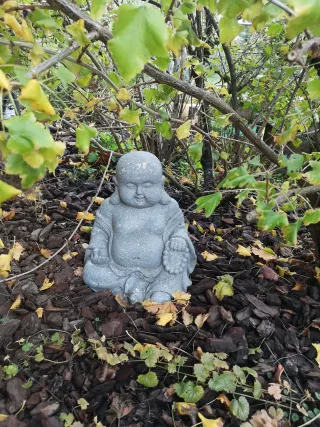 Dieser Anbieter hat keine Bildbeschreibung für dieses Bild hinterlegt