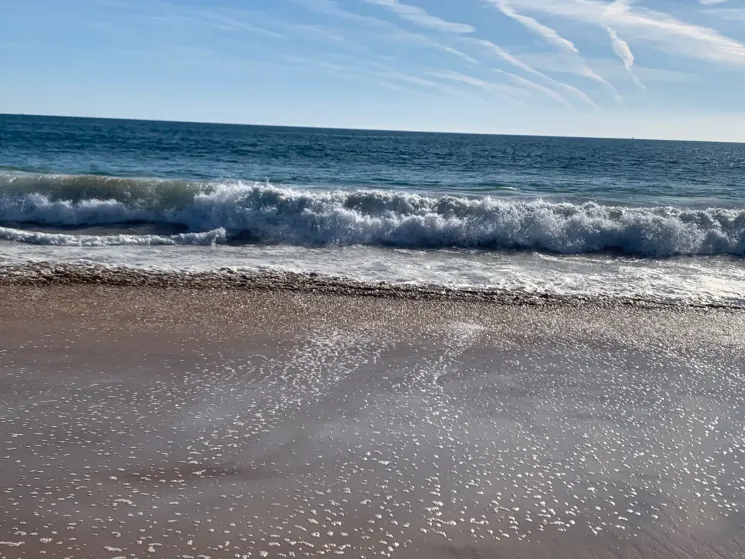 Morgen Yoga online @ Sivananda Yoga Hamburg