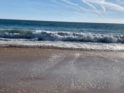 Morgen Yoga online @ Sivananda Yoga Hamburg