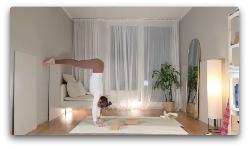 Le studio n'a pas fourni de description pour cette image