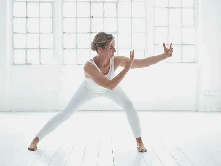 LIVESTREAM: The Yogic Body & Mind Cleanse mit Andrea @ Power Yoga Institute Online-Studio
