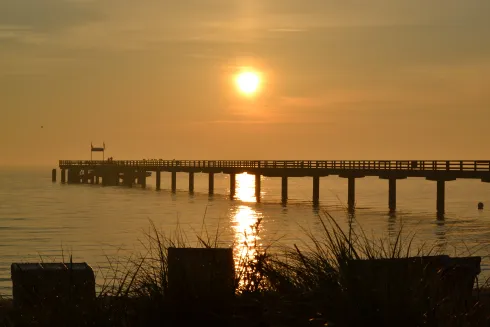 Pfingstyogareise ALLES IST EINS - Dein Naturretreat am Meer @ Yoga an der Alster
