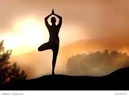 Mindfulmind Meditation / Nidra @ Shivarocks Yoga8712