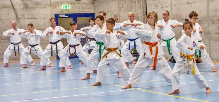 Kinder Gruppe C @ Seikukan Karate Do Zürich