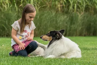 Dieser Anbieter hat keine Bildbeschreibung für dieses Bild hinterlegt
