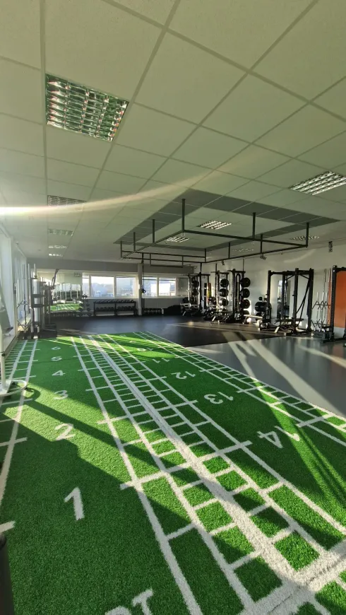 Movement Area - Dein Trainingspartner