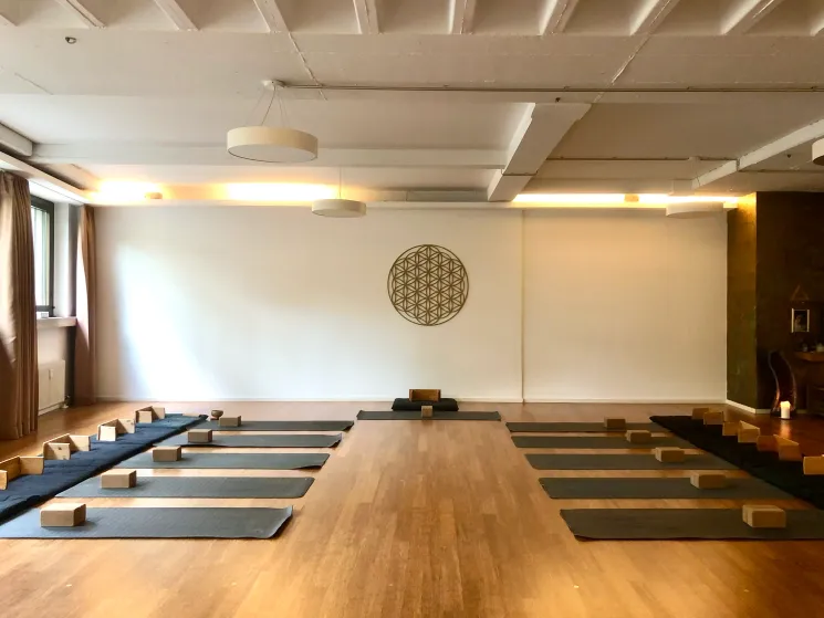 fre:e practice: Yoga, Qi Gong/Tai Chi & Zen Meditation mit Manu Binninger @ Patrick Broome Yoga (Studio City)