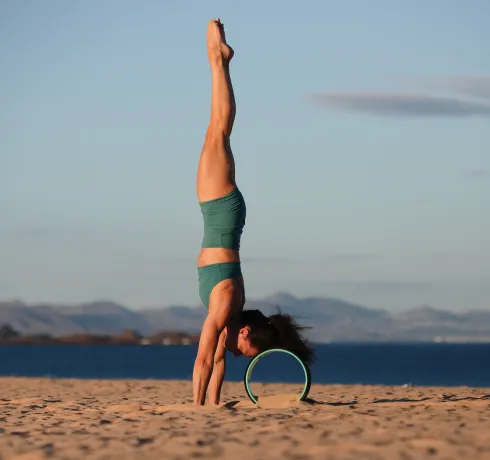 Dieser Anbieter hat keine Bildbeschreibung für dieses Bild hinterlegt