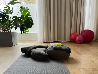 Dieser Anbieter hat keine Bildbeschreibung für dieses Bild hinterlegt