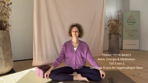 Le studio n'a pas fourni de description pour cette image