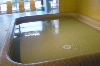 Brigittenauer Bad