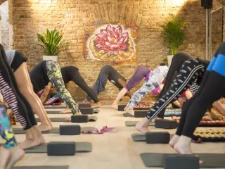 Dieser Anbieter hat keine Bildbeschreibung für dieses Bild hinterlegt