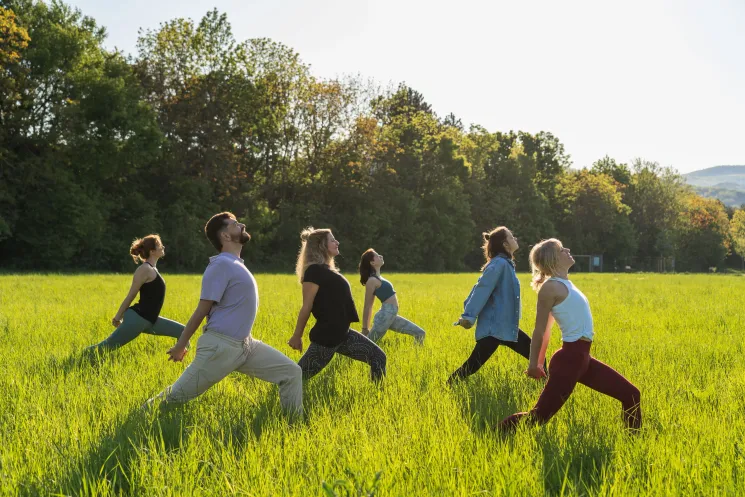 Yoga Picknick | Museumspark Mödling 10.08.2025 @ sunflow | Yoga & Achtsamkeit