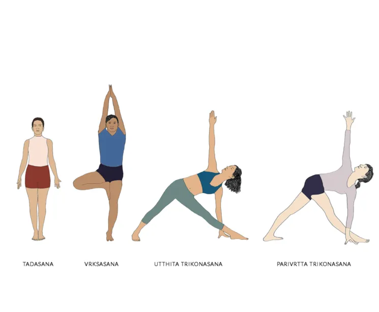 ASANA TRAINING - IN DEPTH COURSE @ Yoga Coolhaven