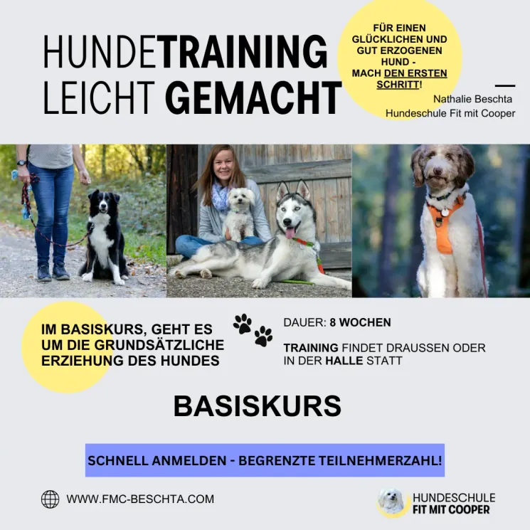 Basiskurs 21 @ Hundeschule Fit mit Cooper