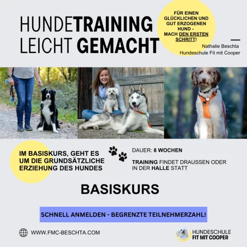 Basiskurs 21 @ Hundeschule Fit mit Cooper