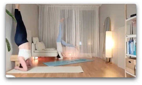 Le studio n'a pas fourni de description pour cette image