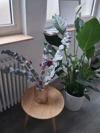 Dieser Anbieter hat keine Bildbeschreibung für dieses Bild hinterlegt