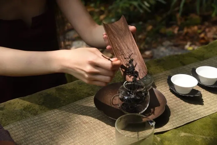 The Art of Tea @ Soasana Yoga