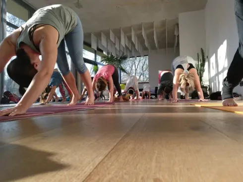 Spring Bloom: Yoga Retreat in der Schnitzmühle @ Om Shanti Yoga