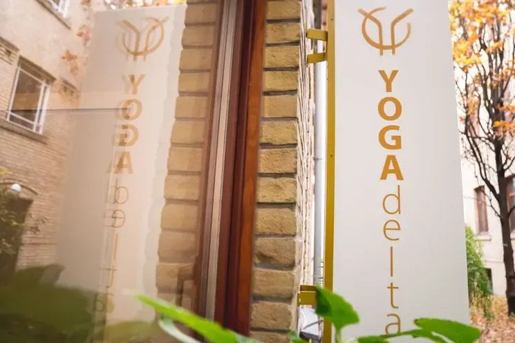 Vinyasa Flow Yoga I-III @ YOGAdelta Studio Kurse