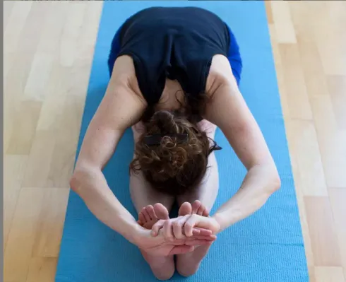Di 9-10:30 Uhr | ONLINE | Level 1-2 | Elizabeth @ Iyengar Yoga Zentrum Berlin