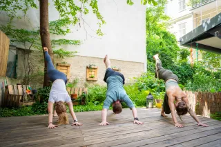 Dieser Anbieter hat keine Bildbeschreibung für dieses Bild hinterlegt