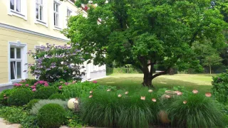 Dieser Anbieter hat keine Bildbeschreibung für dieses Bild hinterlegt