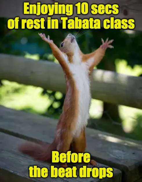 Thursday Tabata! @ Live Circuit Training