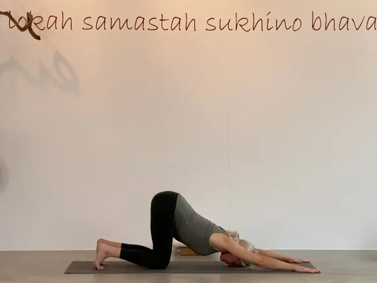 Yin Yoga LIVESTREAM @ yogaatelier