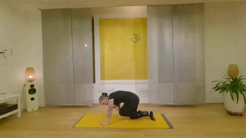 Dieser Anbieter hat keine Bildbeschreibung für dieses Bild hinterlegt