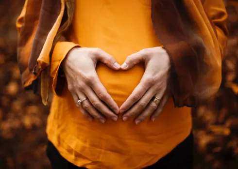 ONLINE: 5-wöchiger Kurs: Yoga für Schwangere & Rückbildung @ Yoga Vidya Bamberg