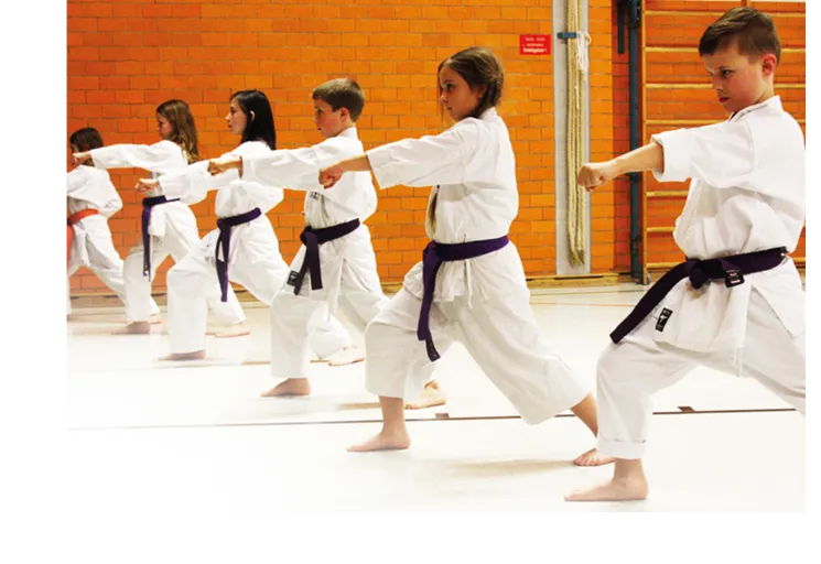 Karate Anfängerkurs (7 – 12 Jahre) Sep – Okt 2025 – Montag und Mittwoch @ TSV Milbertshofen