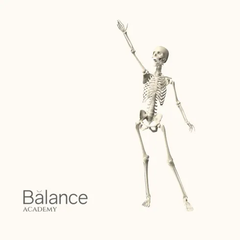 Vorbereitungskurs Teacher Training Pilates/Yoga | Anatomie Grundlagen im Studio Frankfurt (14h) @ Balance Yoga - Studio City