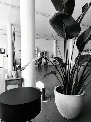 Dieser Anbieter hat keine Bildbeschreibung für dieses Bild hinterlegt