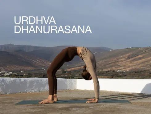 Le studio n'a pas fourni de description pour cette image