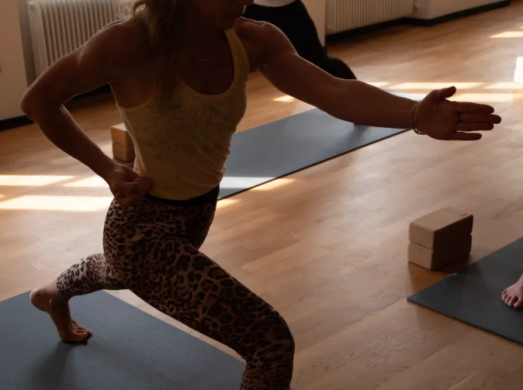 Yoga meets strength L2-3 @ insaja - yoga & dance