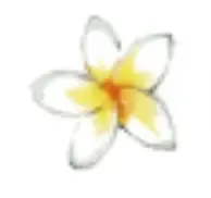 www.feelgoodstudio.at