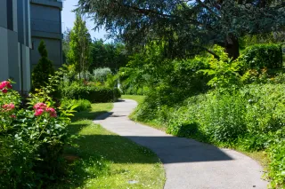 Dieser Anbieter hat keine Bildbeschreibung für dieses Bild hinterlegt