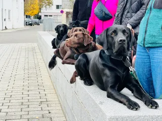 Dieser Anbieter hat keine Bildbeschreibung für dieses Bild hinterlegt