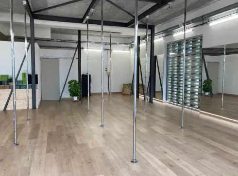POLE DANCE BLAGNAC