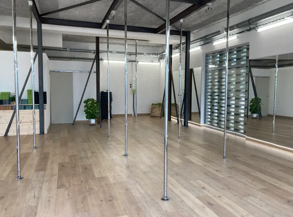 POLE DANCE BLAGNAC