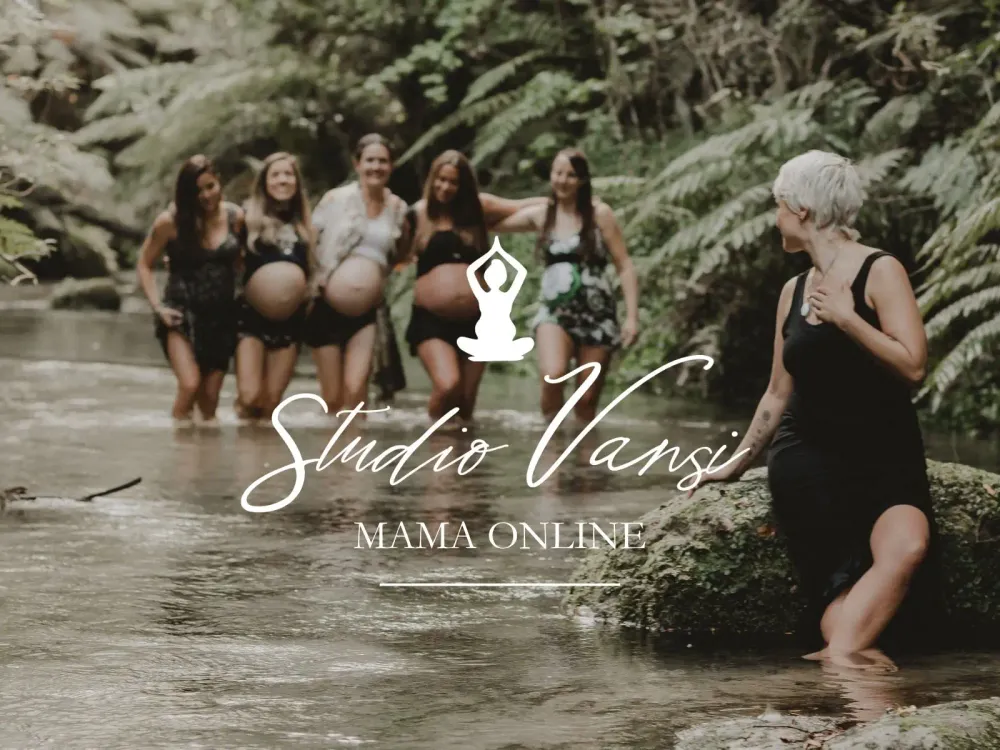 Studio Vansi