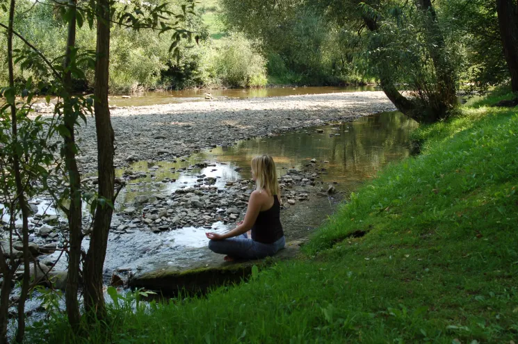 Meditatie Flow - ONLINE @ YogaZenter
